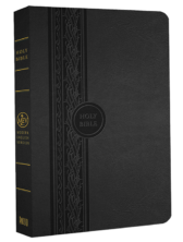 MEV Thinline Reference Bible - Black