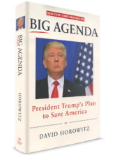 Big Agenda: President Trump’s Plan to Save America